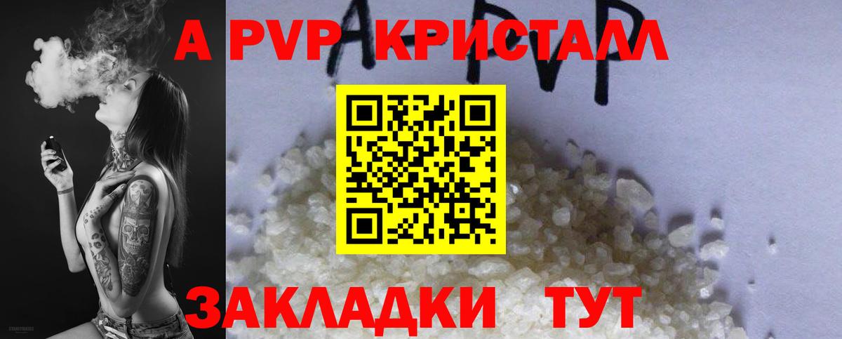 Альфа ПВП СК Калуга
